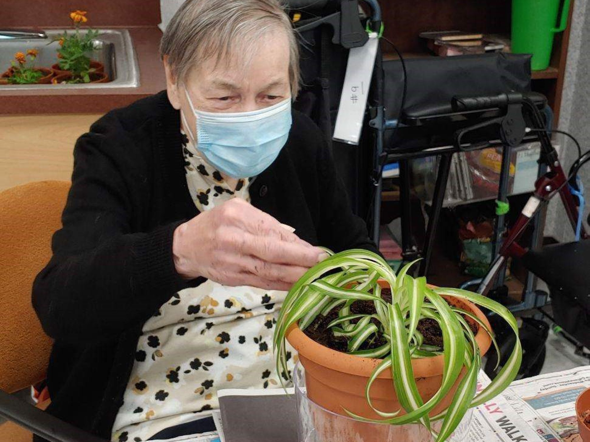 Resident making plants