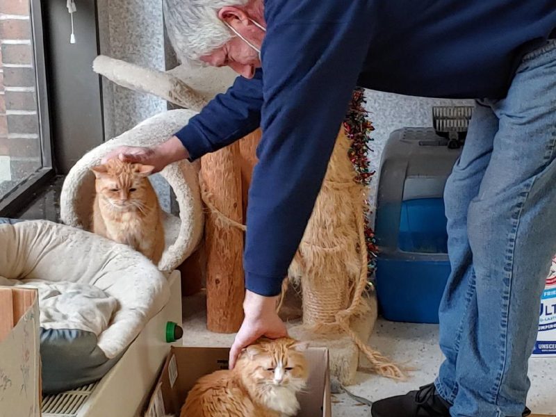 Pet Therapy at JGS Lifecare